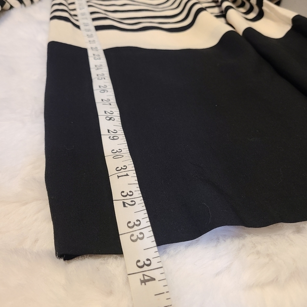 Zara Basic Ivory Black Dress Striped 3/4 Sleeve Sz Small Shift SheathExcellent - Picture 7 of 7